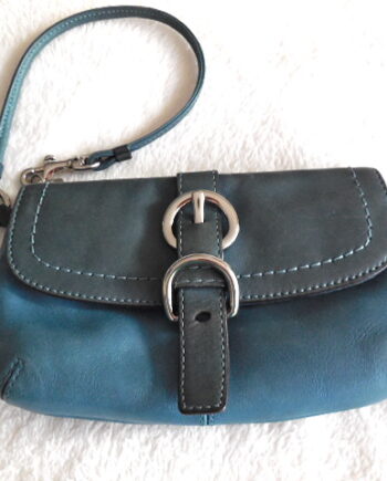 Coach Blue Leather Clutch