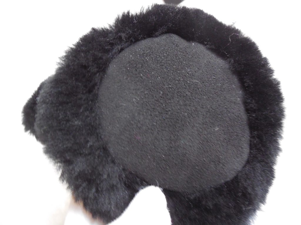 UGG Australia Ear Muffs