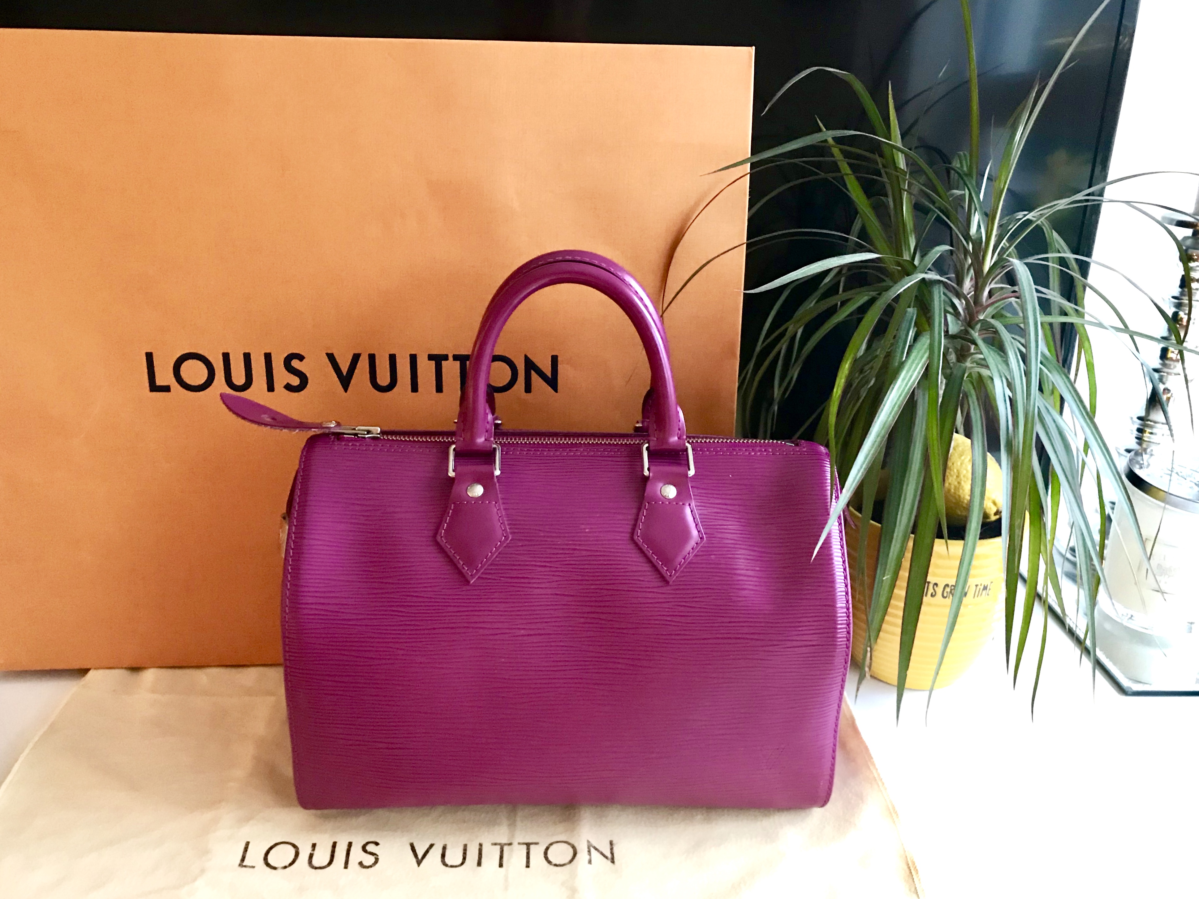 Louis Vuitton Speedy 25 Grenade Epi Leather Handbag
