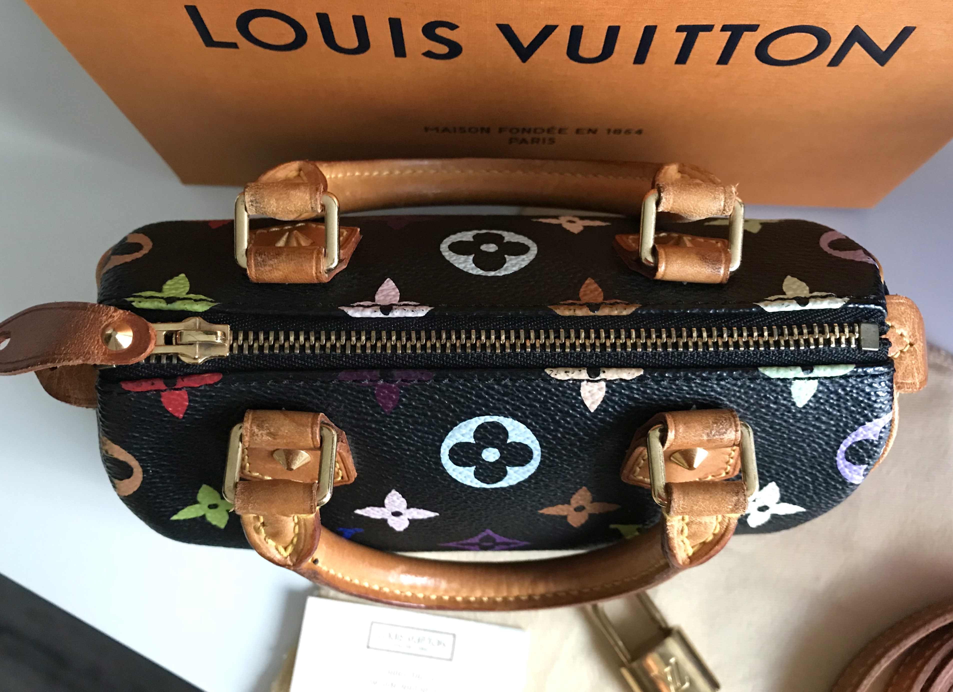 Louis Vuitton Mini Speedy 2way Bag in Black