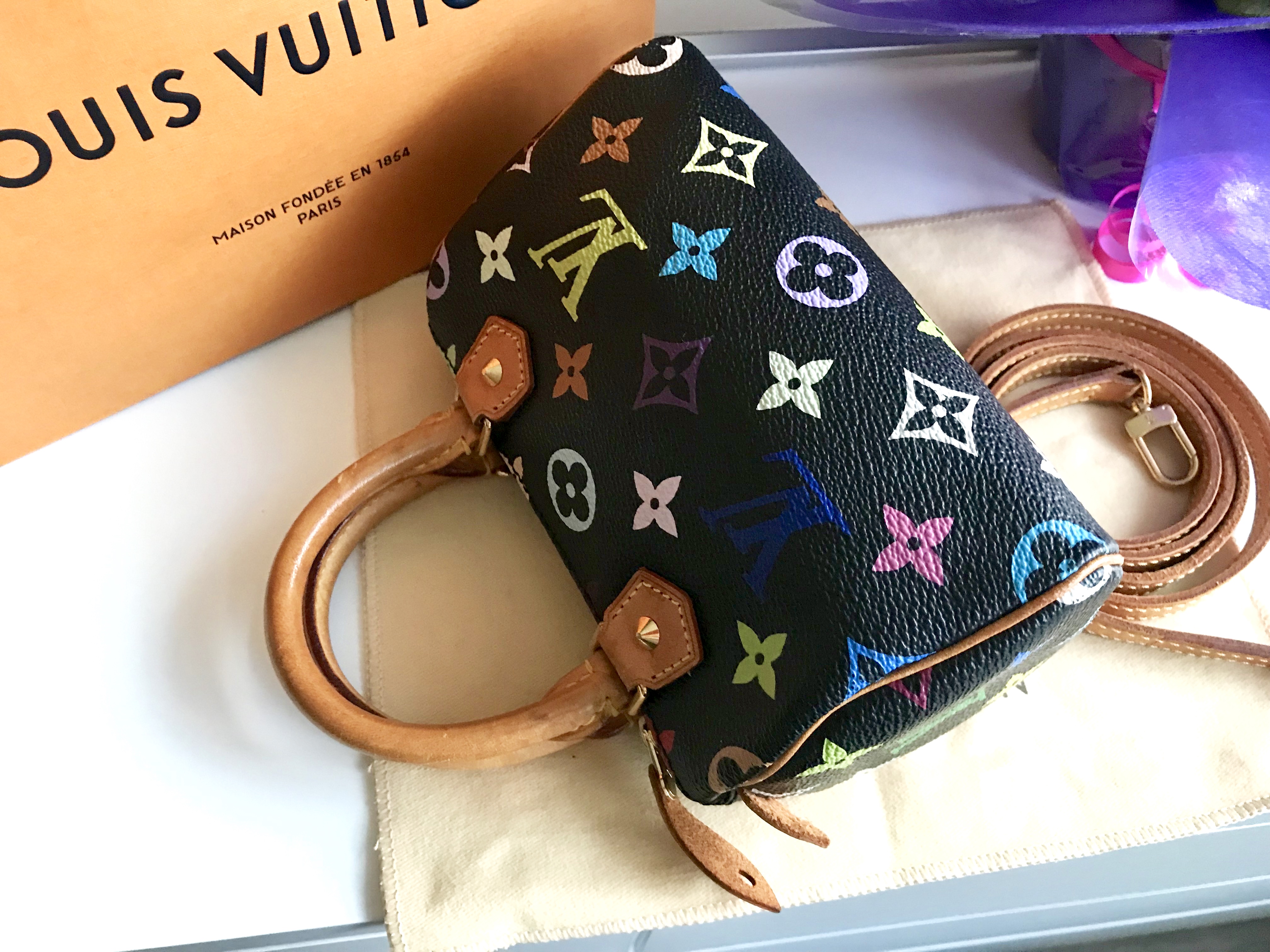 Louis Vuitton Black Multicolor Mini Speedy Nano Handbag