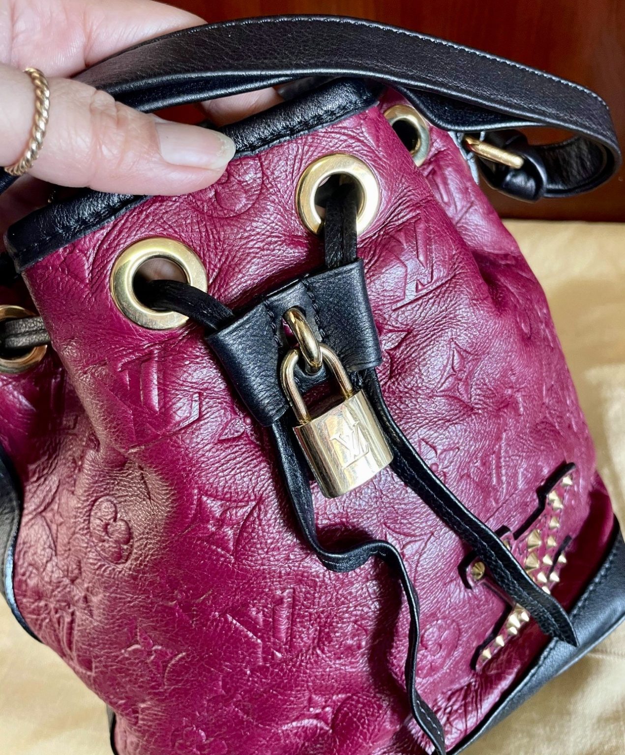 Louis Vuitton Limited Edition Monogram Double Jeu Neo Noe Cranberry Handbag