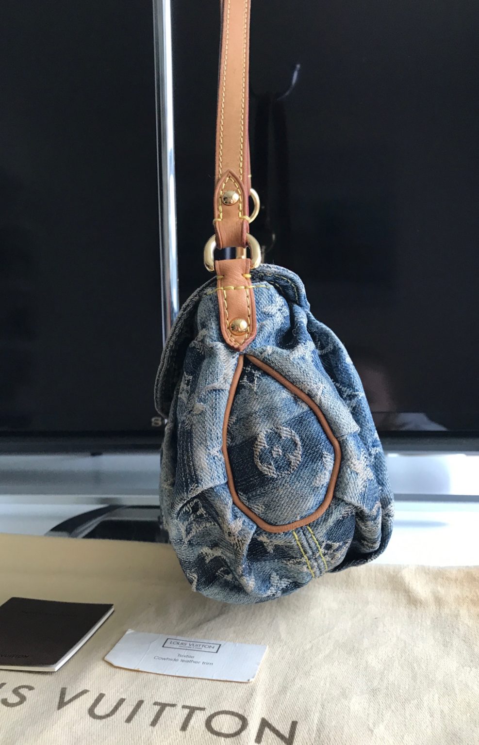 Louis Vuitton Mini Pleaty Raye Bag