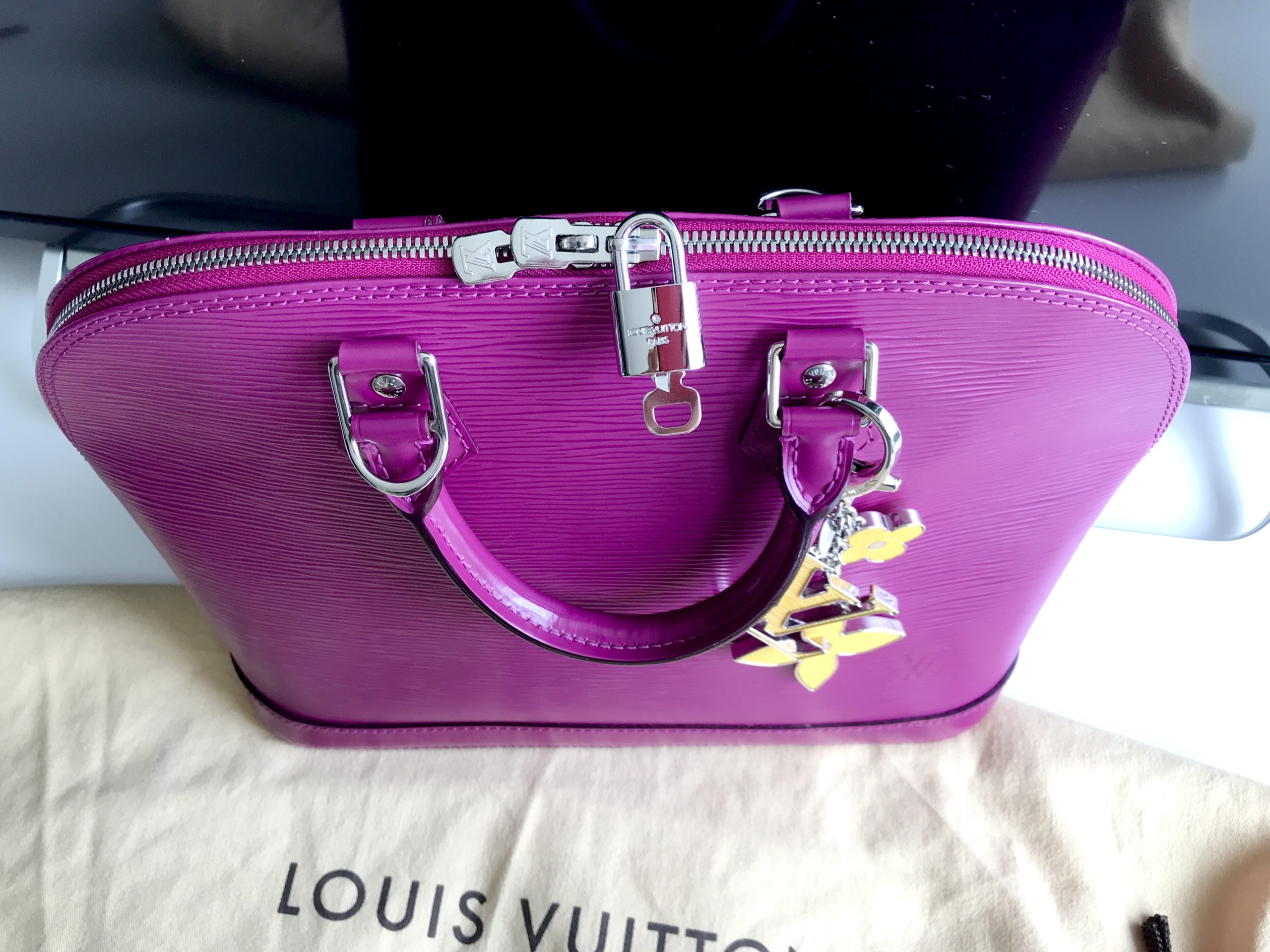 Louis Vuitton Grenade Purple Epi Leather Pochette Accessories