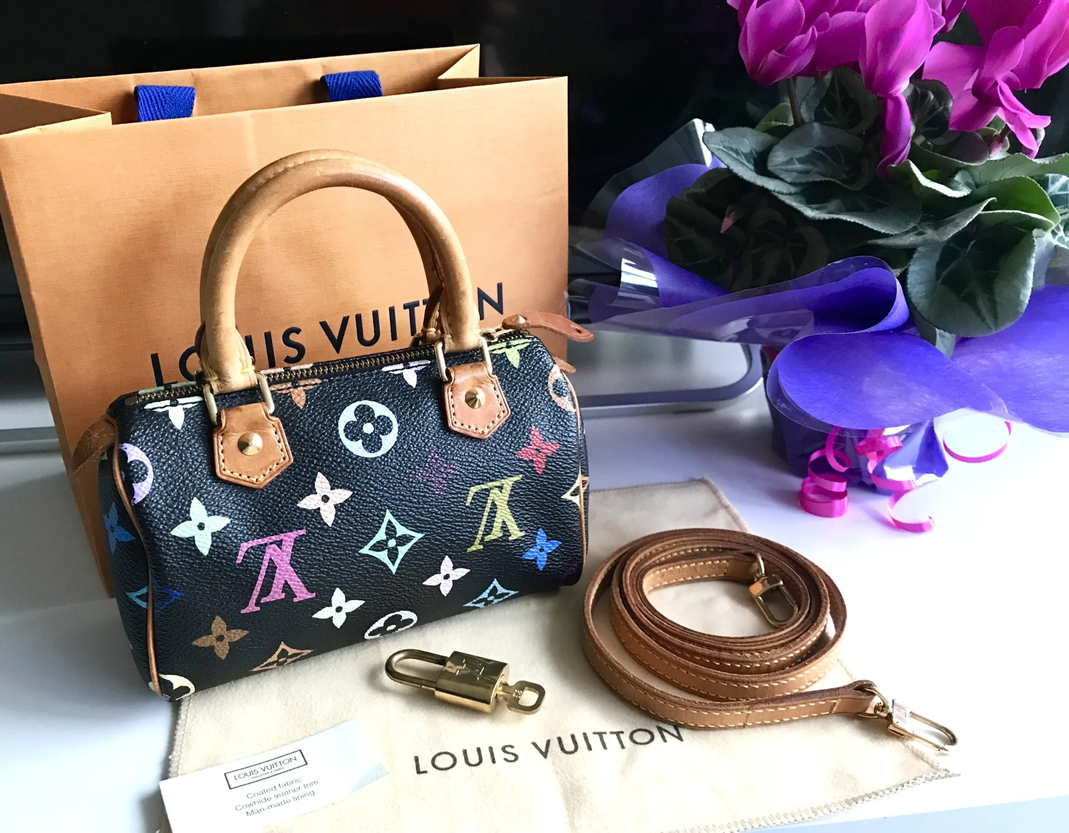 Black Multicolor Mini Speedy Nano Handbag