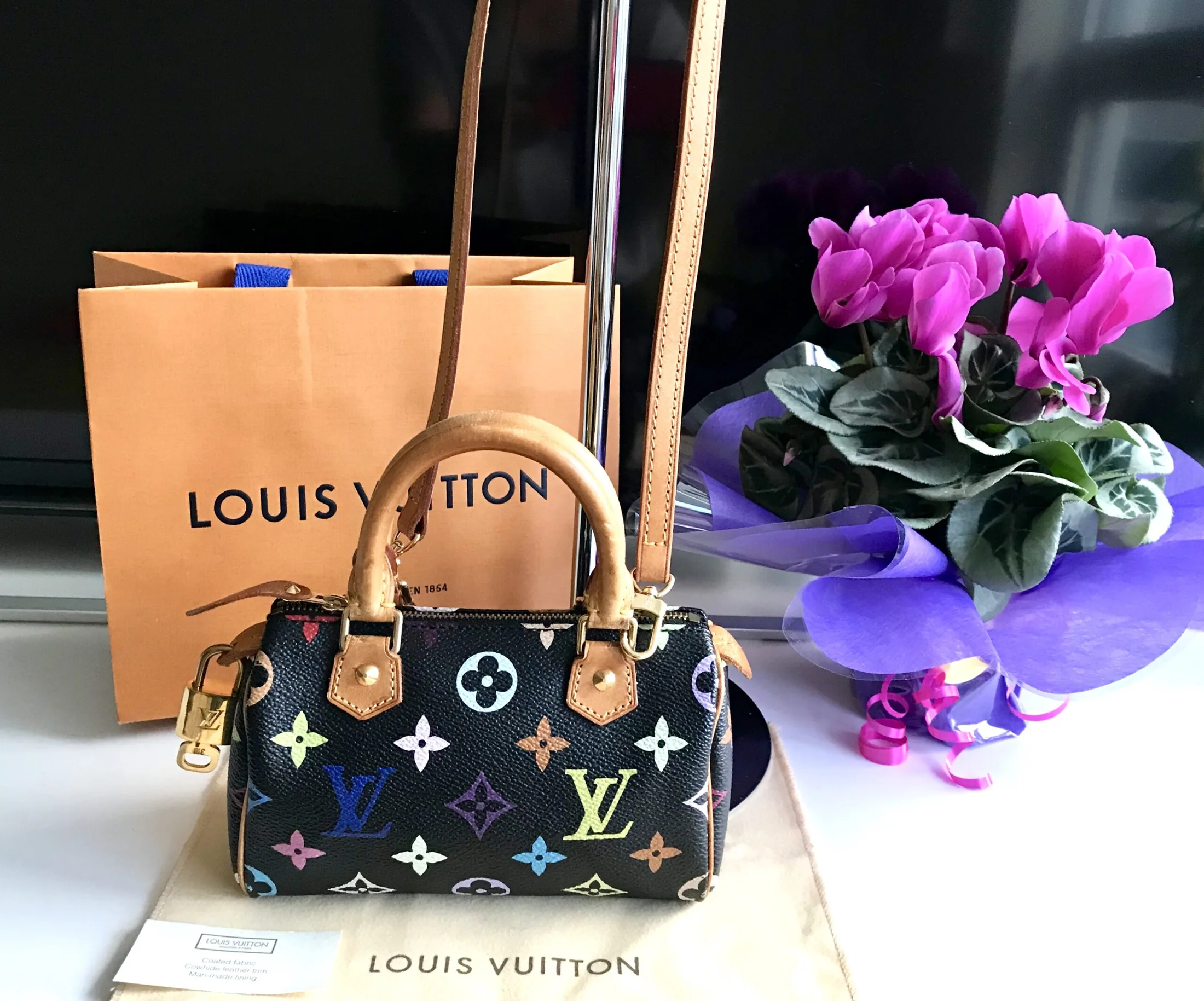 Black Multicolor Mini Speedy Nano Handbag — image 2