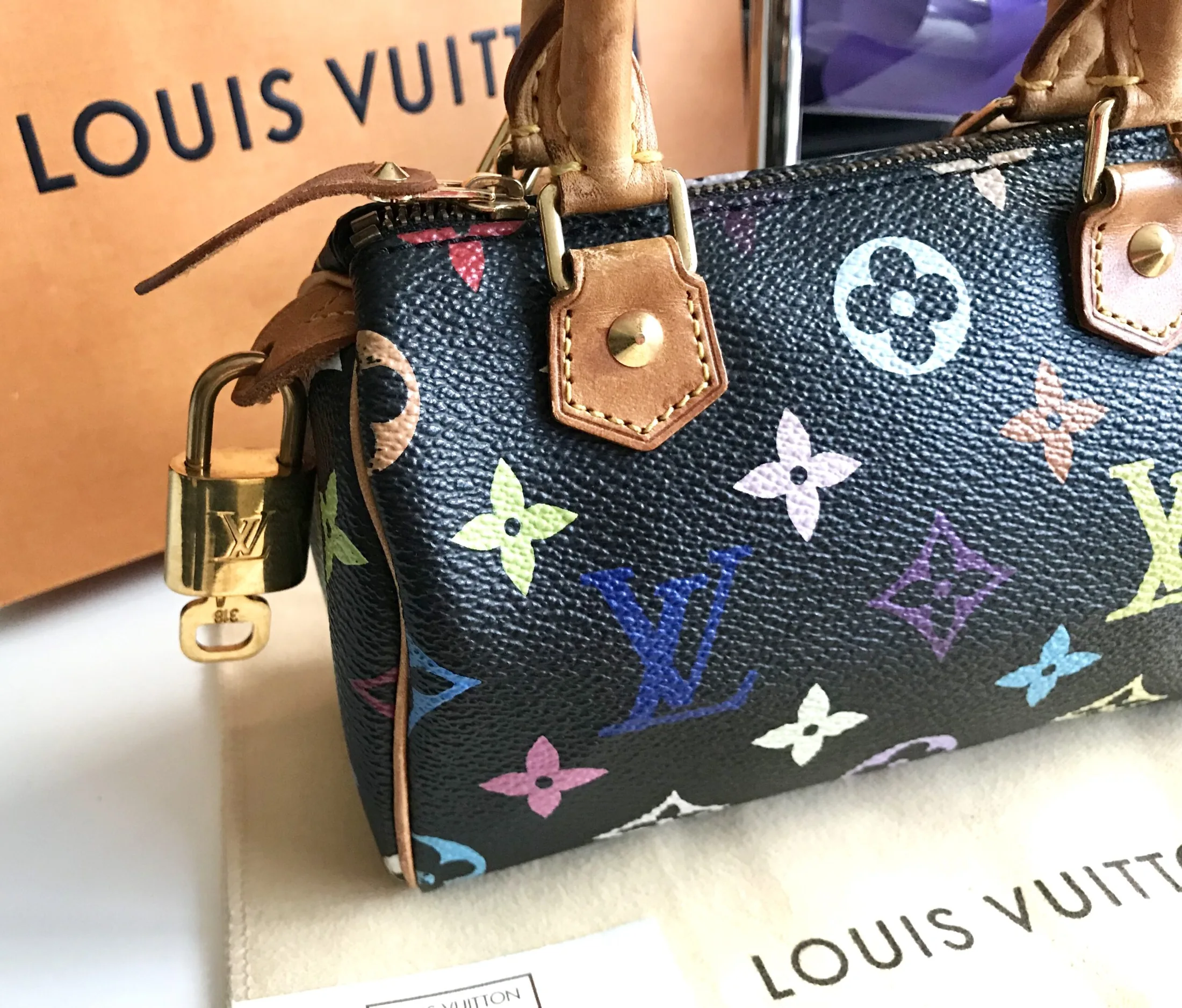 Black Multicolor Mini Speedy Nano Handbag — image 3