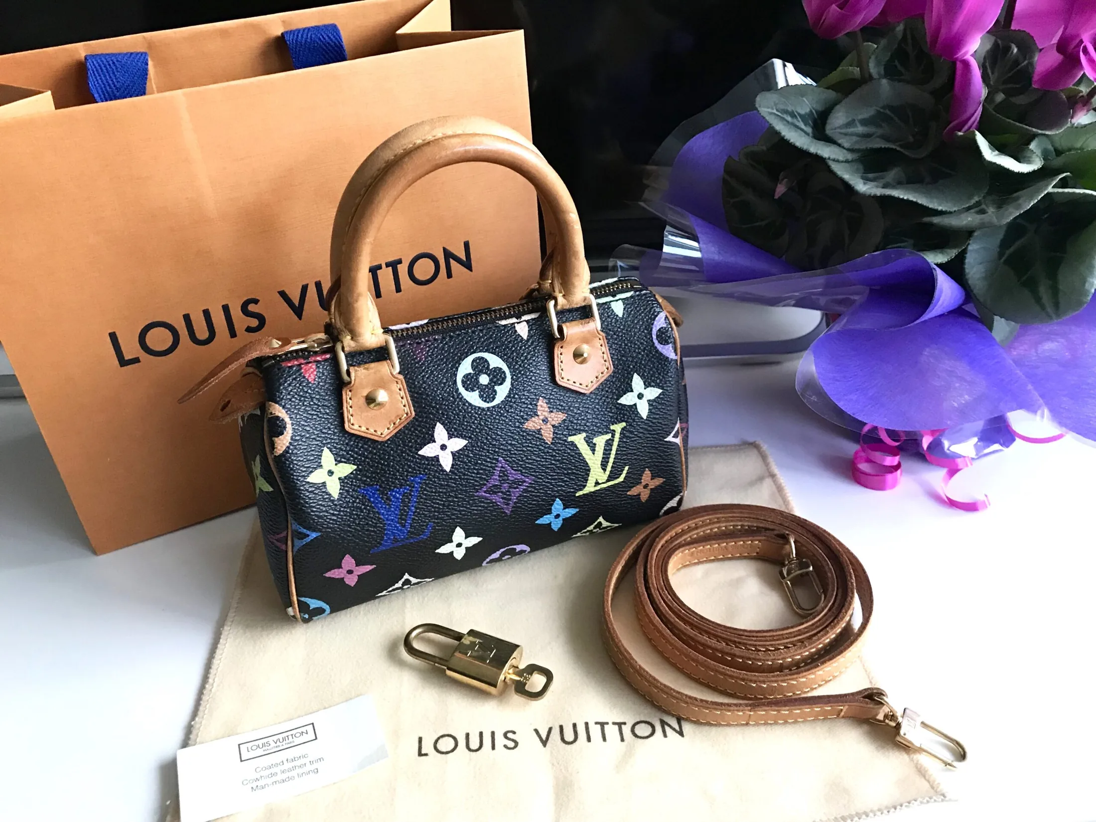 Black Multicolor Mini Speedy Nano Handbag — image 9