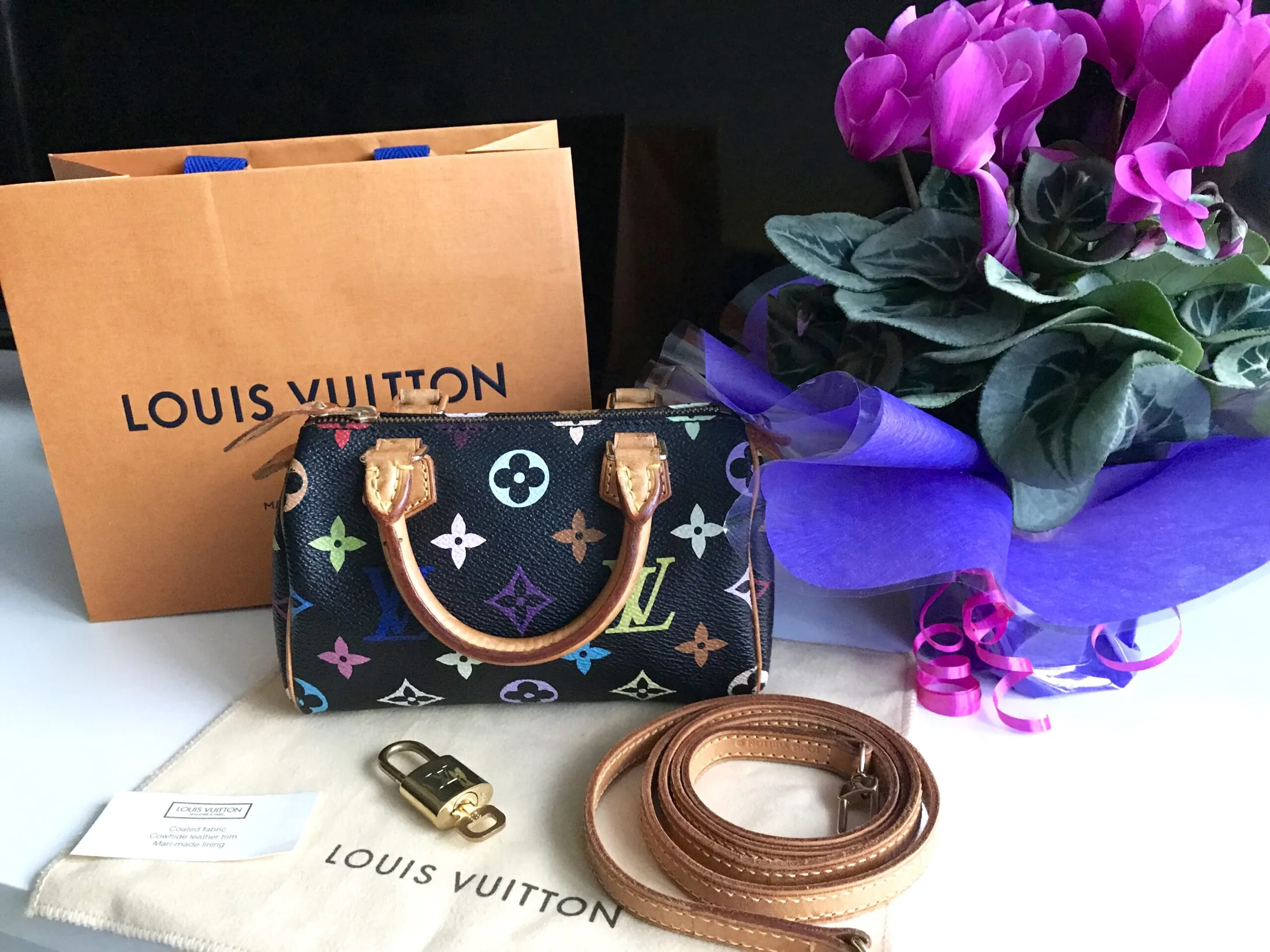 Black Multicolor Mini Speedy Nano Handbag — image 10