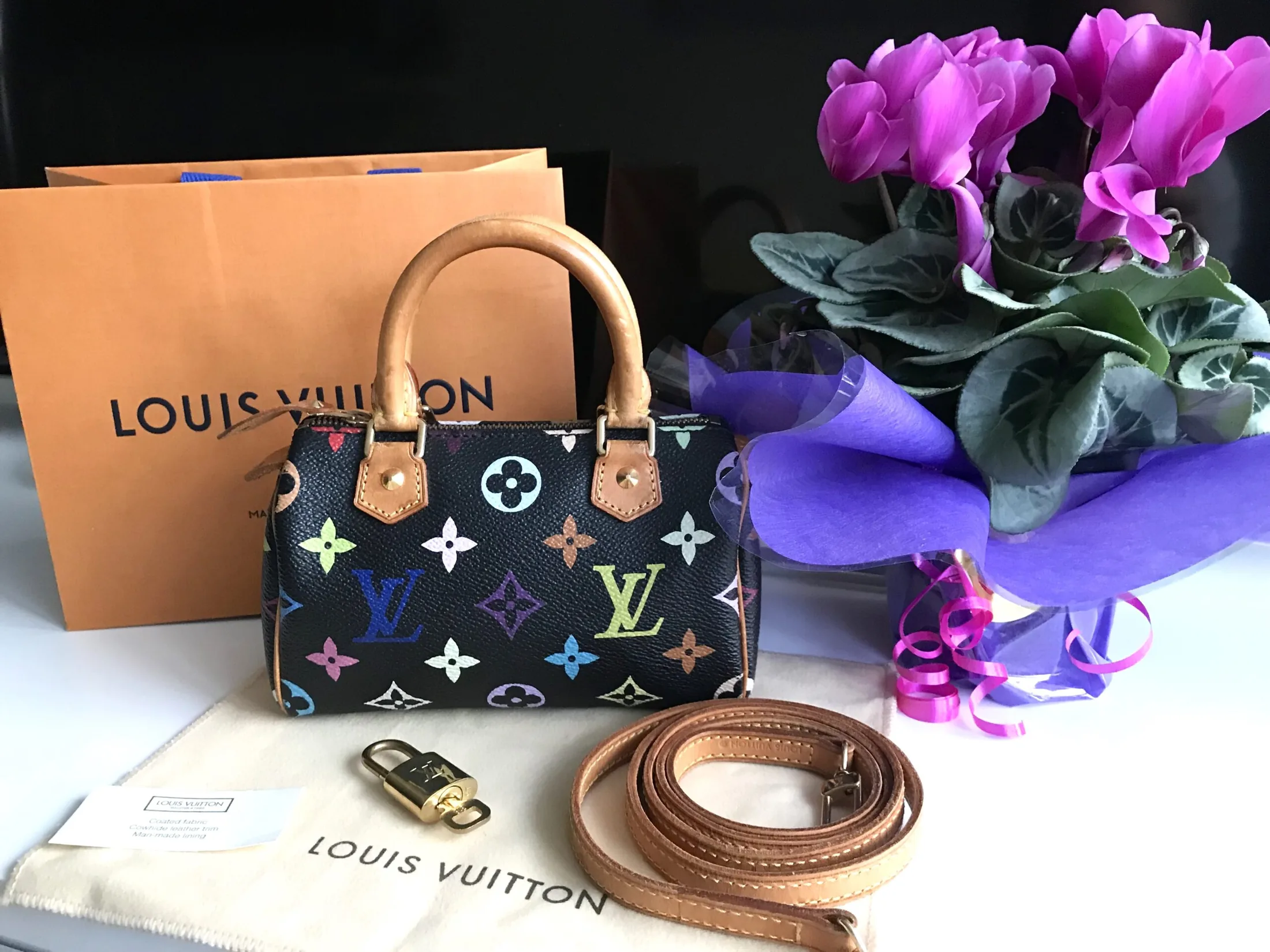 Black Multicolor Mini Speedy Nano Handbag — image 11
