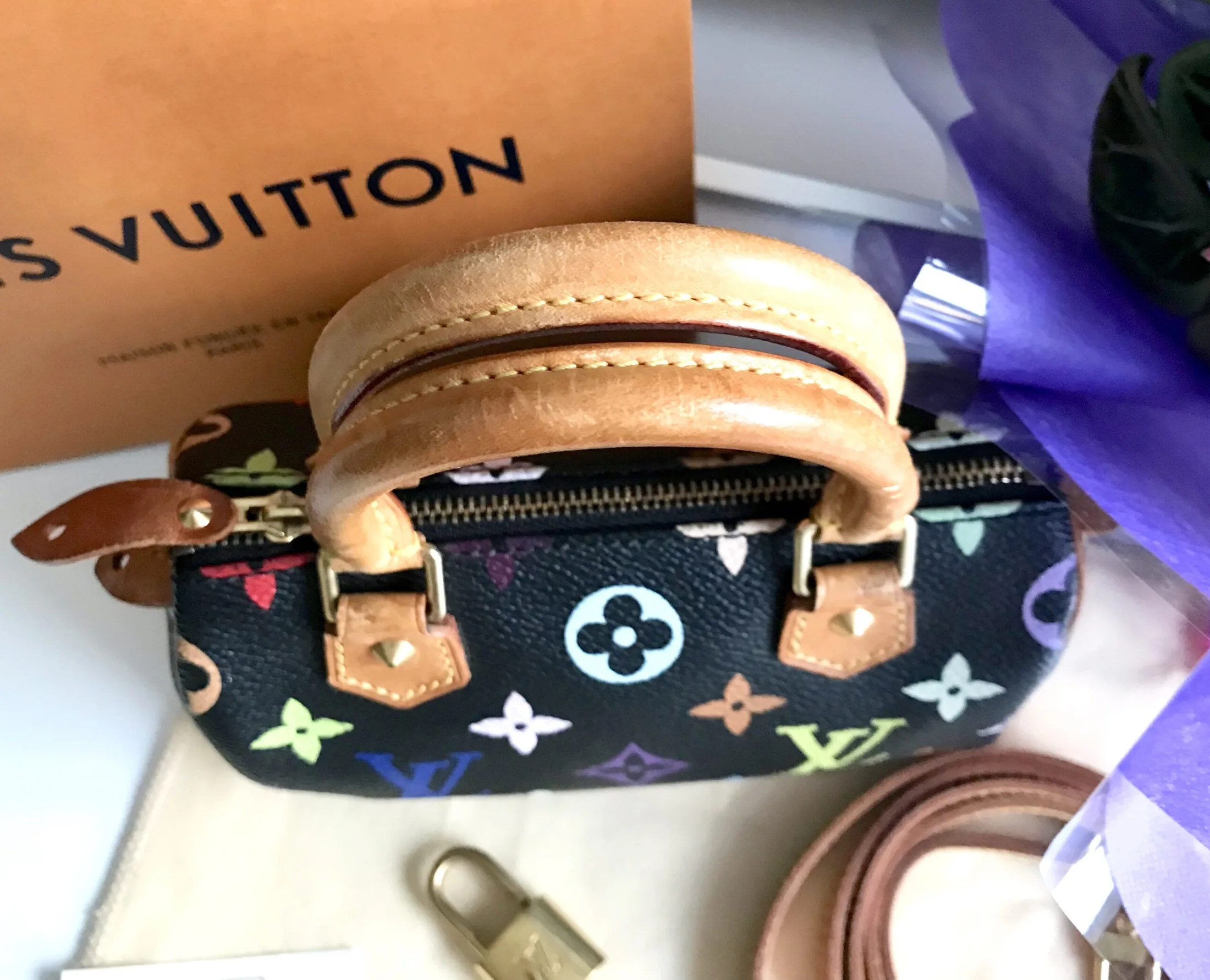 Black Multicolor Mini Speedy Nano Handbag — image 12