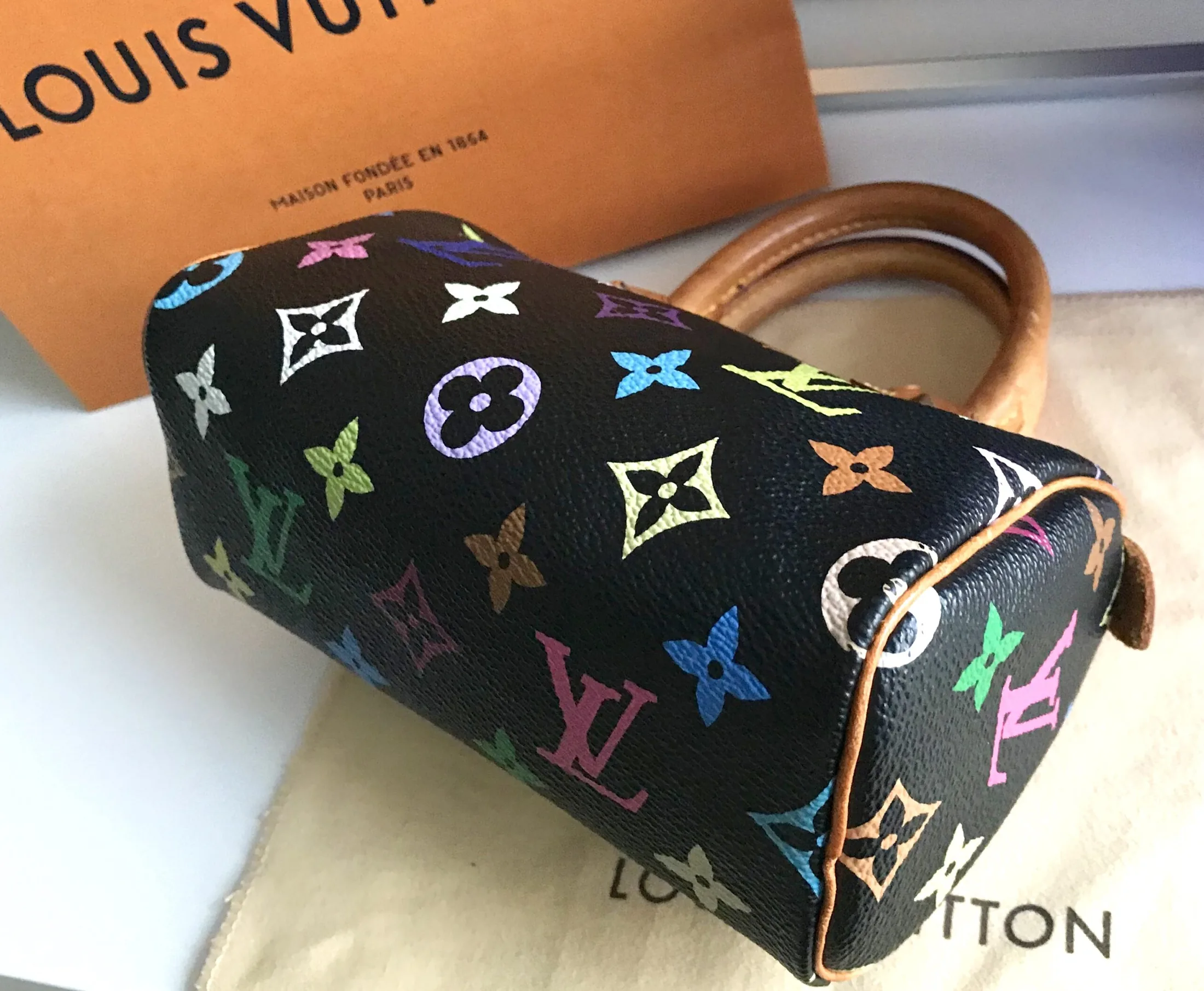 Black Multicolor Mini Speedy Nano Handbag — image 16