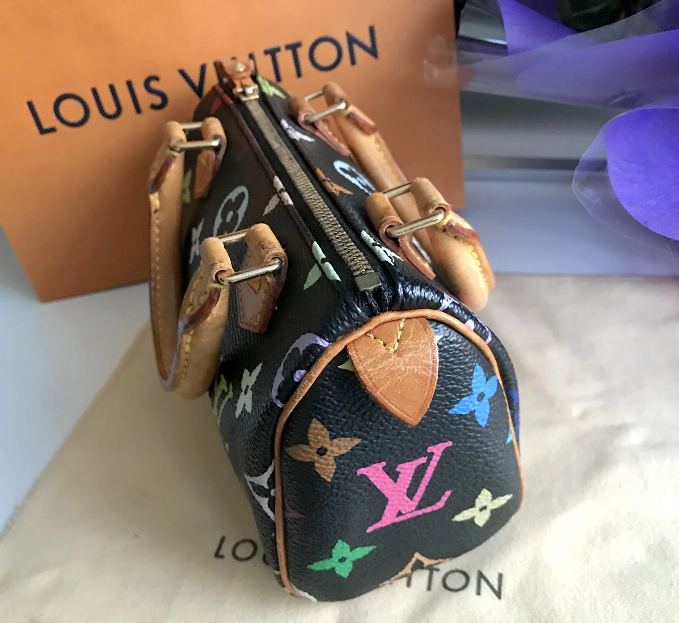 Black Multicolor Mini Speedy Nano Handbag — image 17