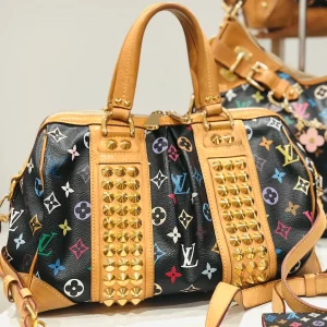 Courtney MM Black Multicolor Handbag