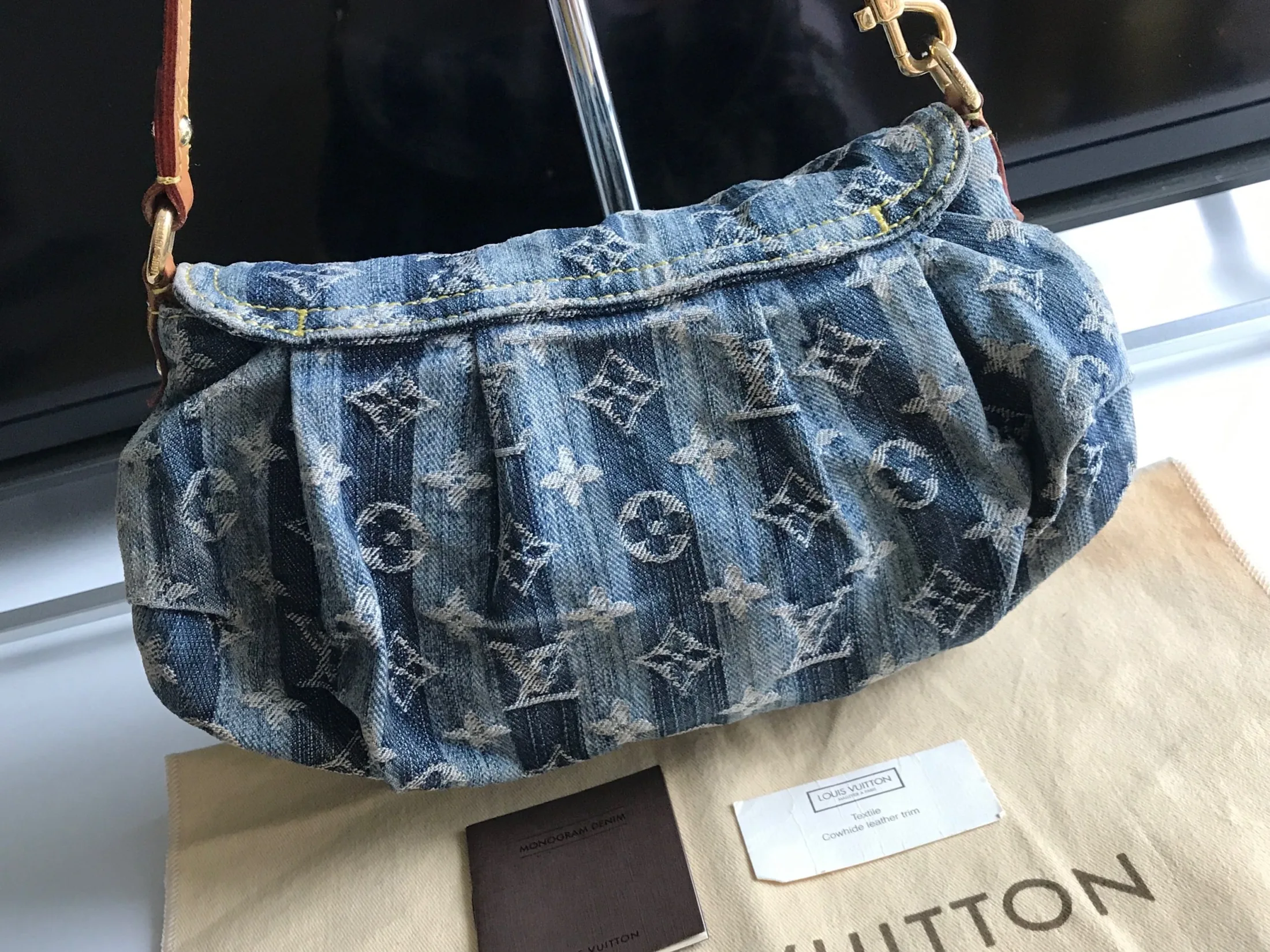 Louis Vuitton Mini Pleaty Raye Bag — image 4