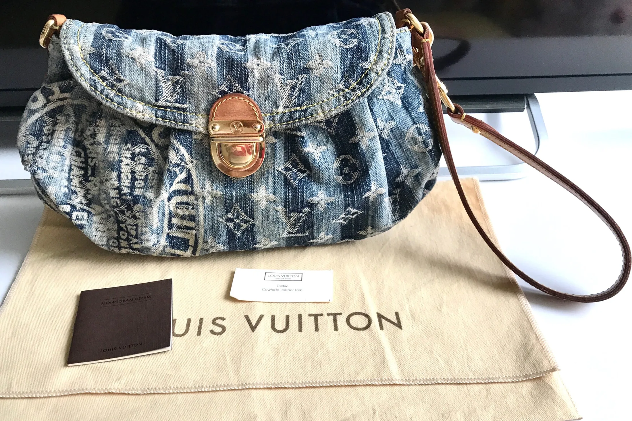 Louis Vuitton Mini Pleaty Raye Bag — image 6