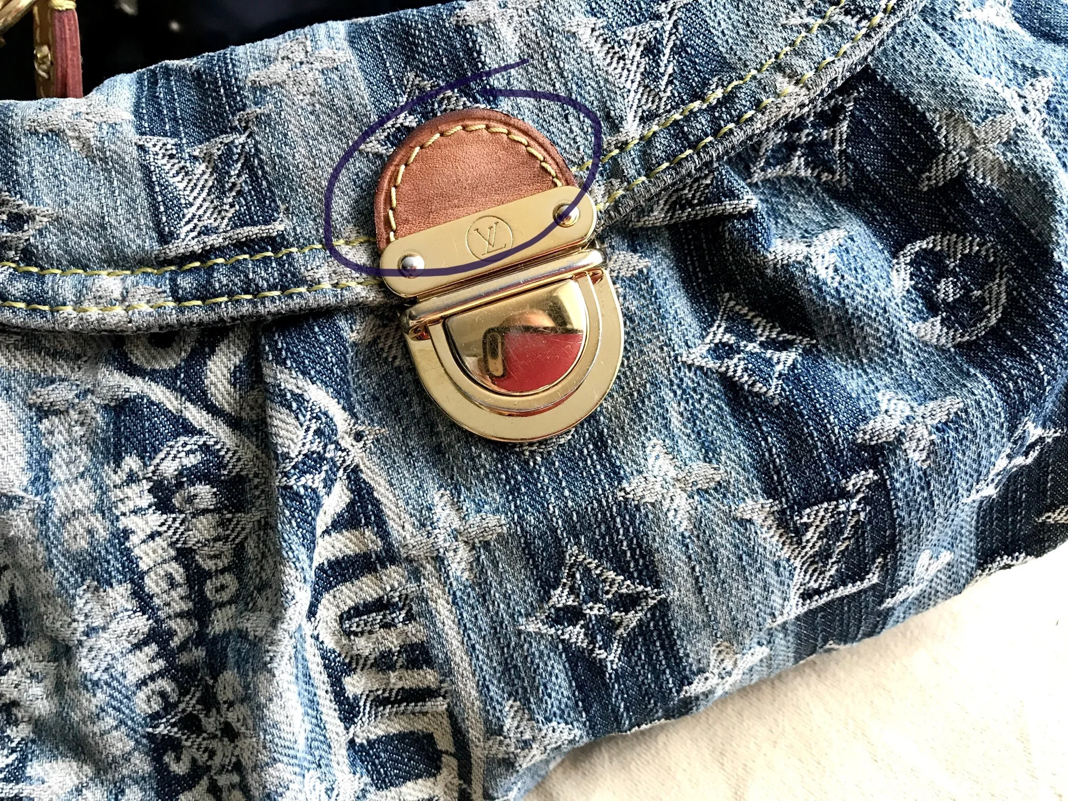 Louis Vuitton Mini Pleaty Raye Bag — image 12