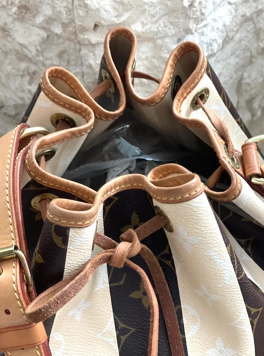 Limited Edition Monogram Rayures Noe GM Handbag — image 9