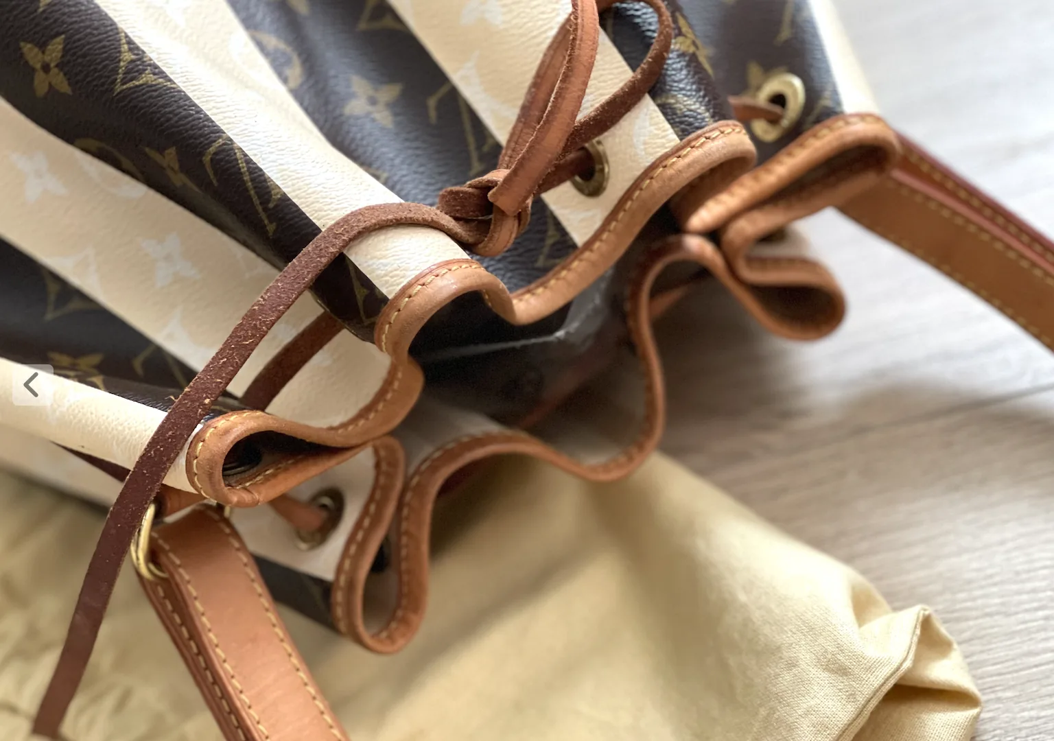 Limited Edition Monogram Rayures Noe GM Handbag — image 10
