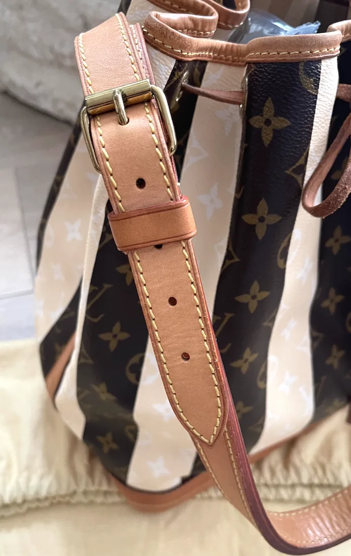 Limited Edition Monogram Rayures Noe GM Handbag — image 11