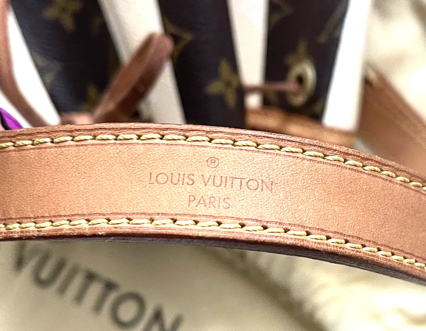 Limited Edition Monogram Rayures Noe GM Handbag — image 12
