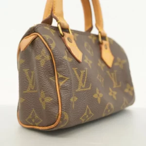 Monogram Mini Speedy