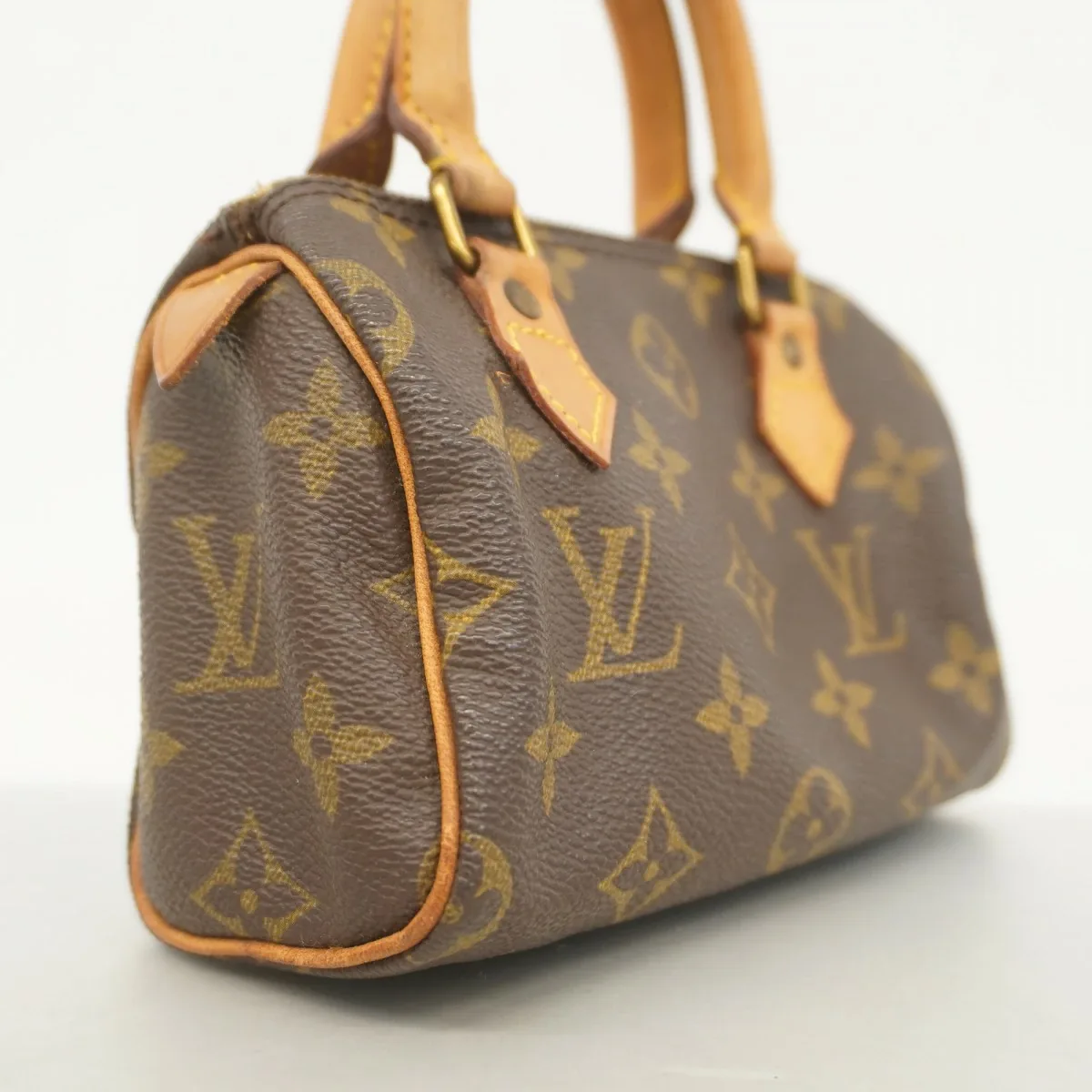 Monogram Mini Speedy