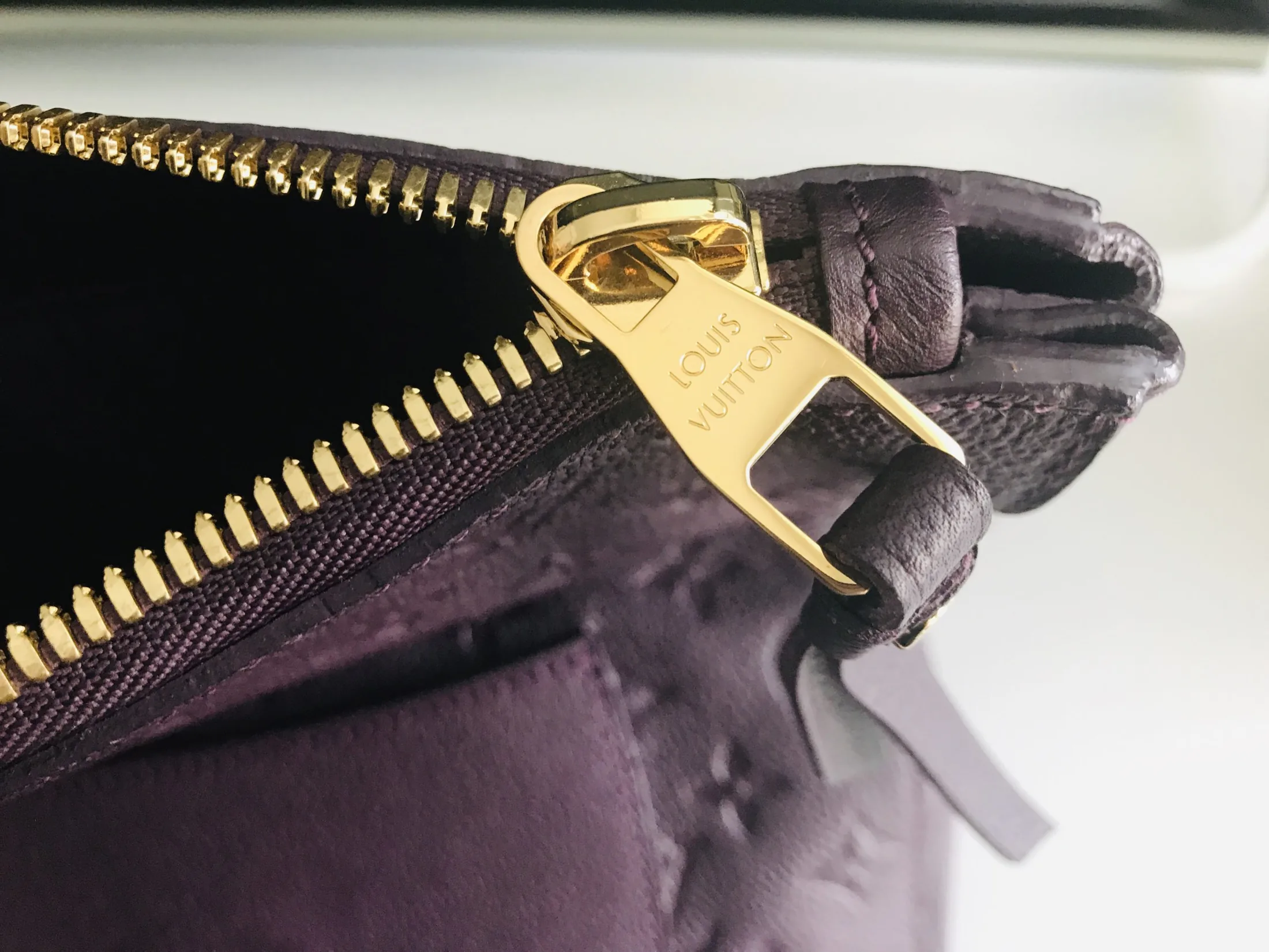 Petillante Aurore Monogram Empreinte Leather Clutch — image 9