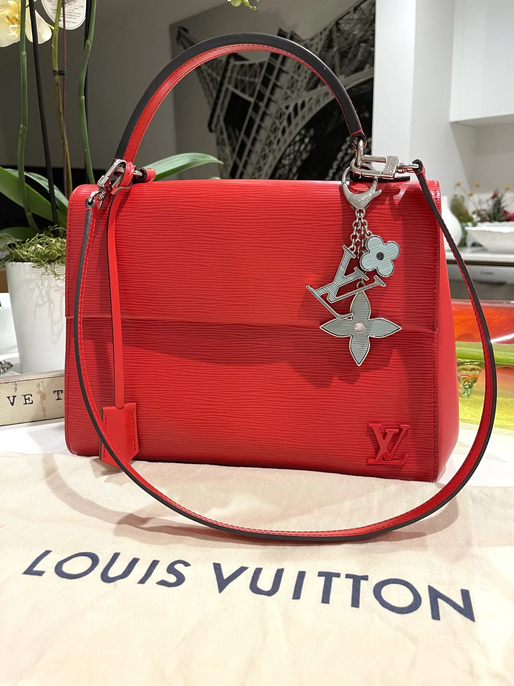 Red Epi Leather Cluny MM Coquelicot Handbag — image 4