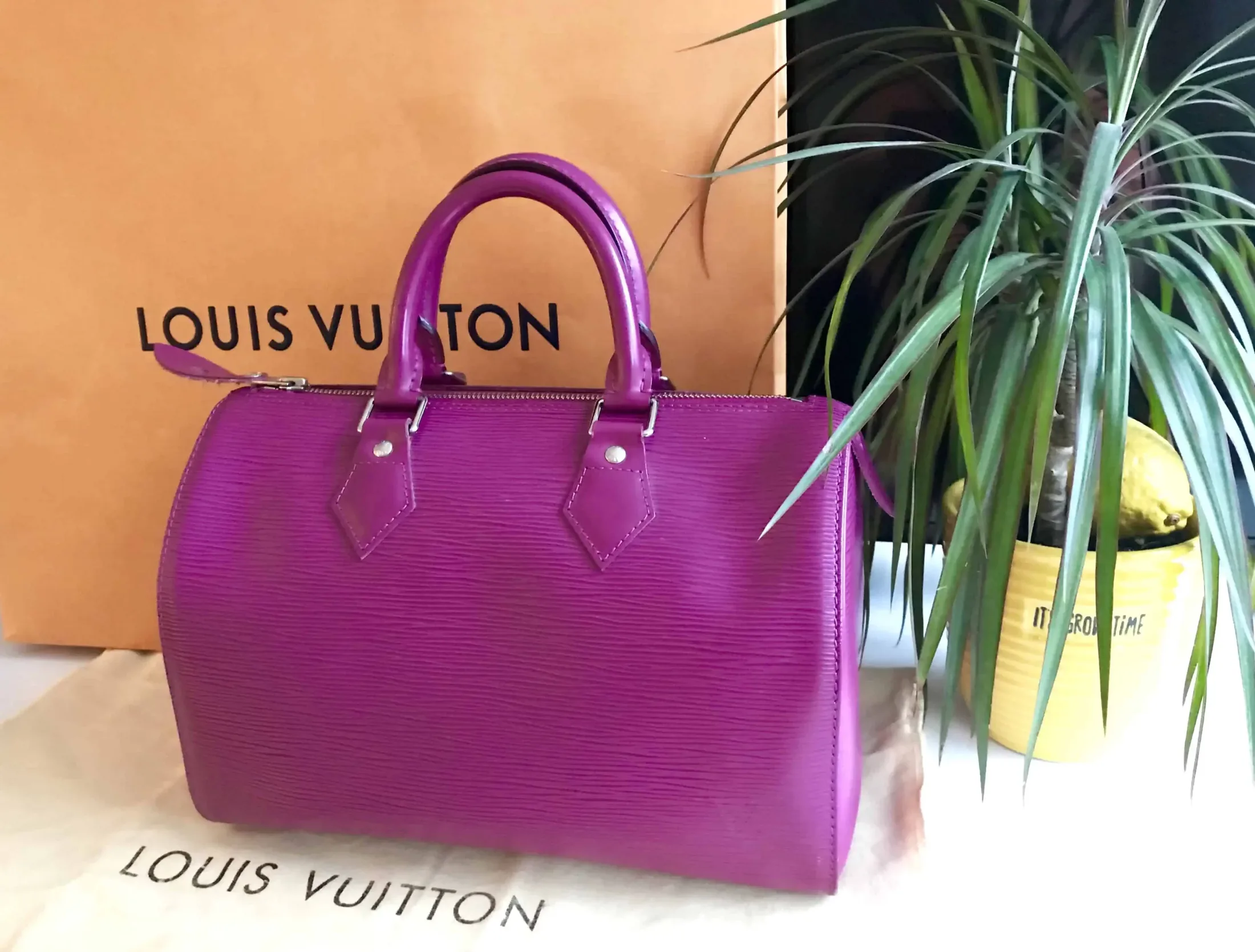 Louis Vuitton Speedy 25 Grenade Epi Leather Handbag — image 3