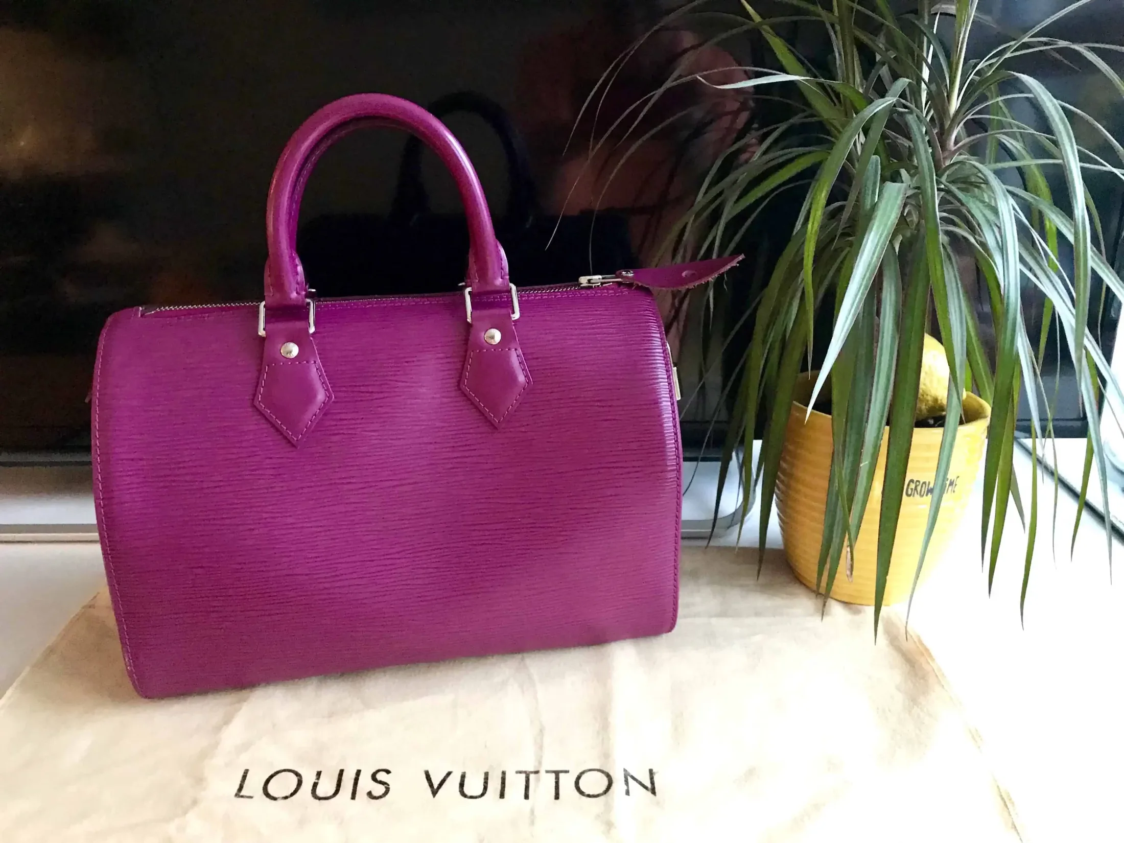 Louis Vuitton Speedy 25 Grenade Epi Leather Handbag — image 4