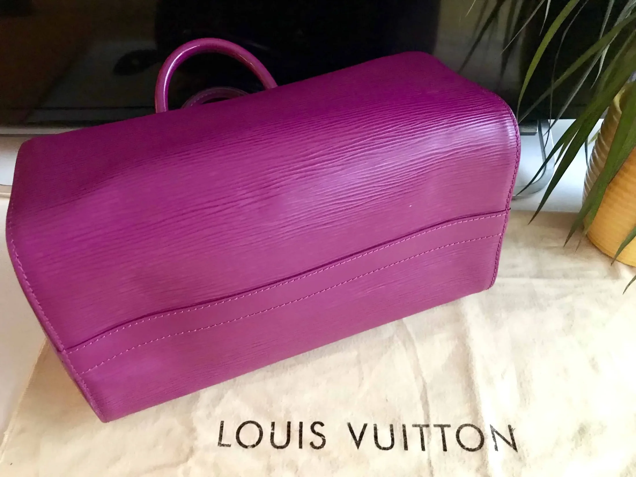 Louis Vuitton Speedy 25 Grenade Epi Leather Handbag — image 5
