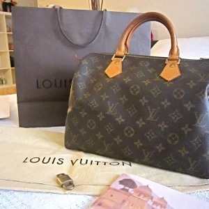 Speedy 30 Monogram Handbag
