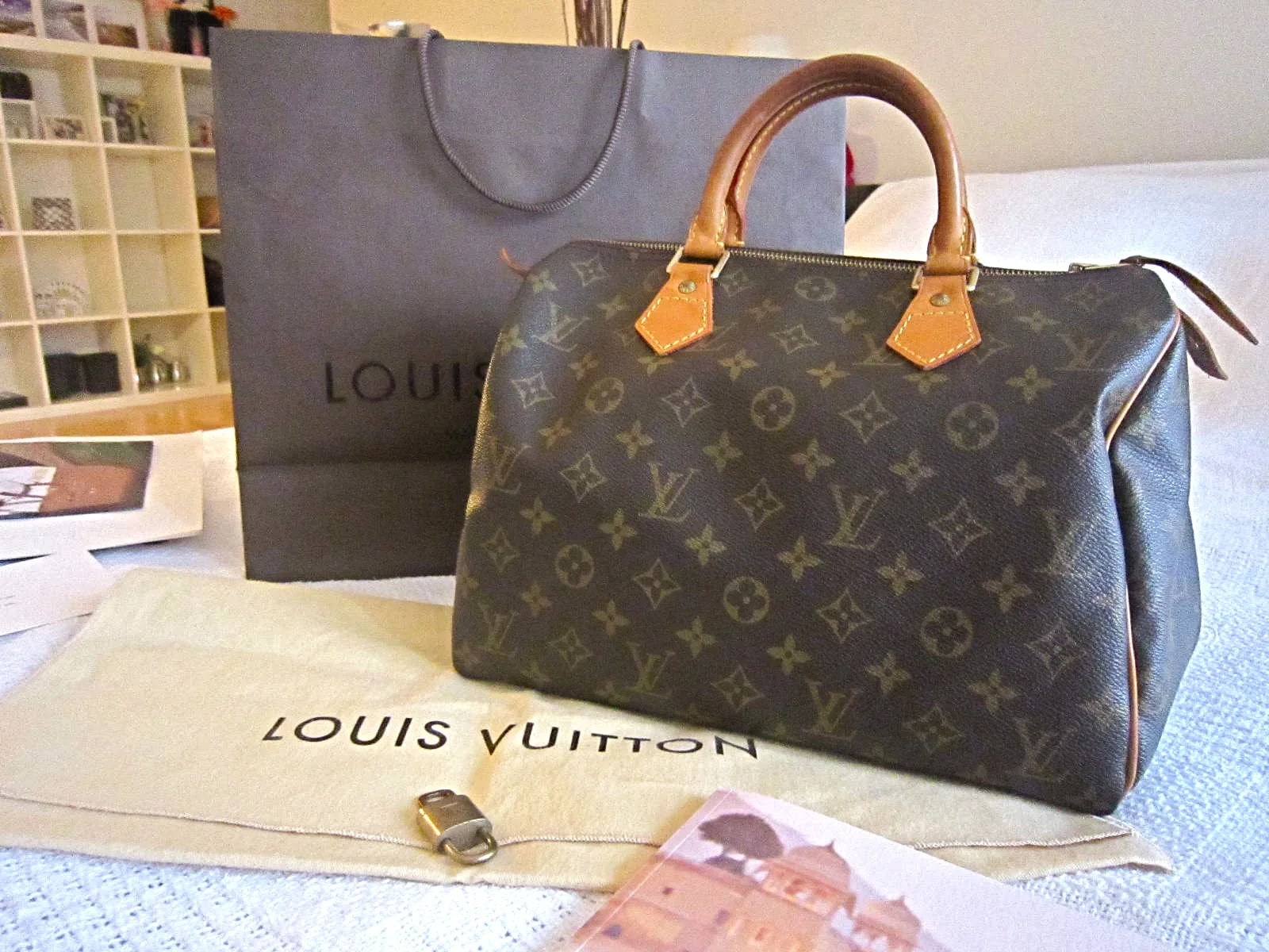 Speedy 30 Monogram Handbag