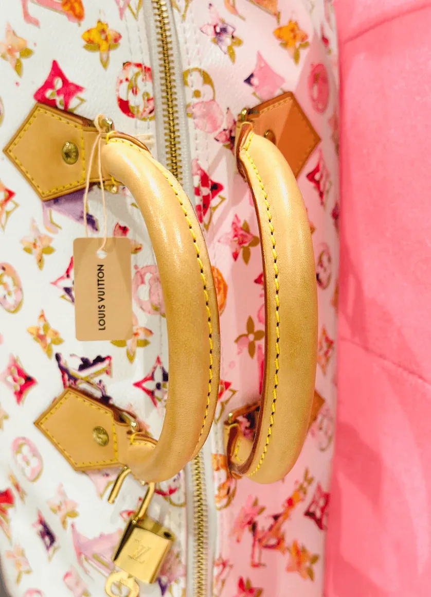 Louis Vuitton Watercolour Aquarelle Speedy 35 Satchel — image 11