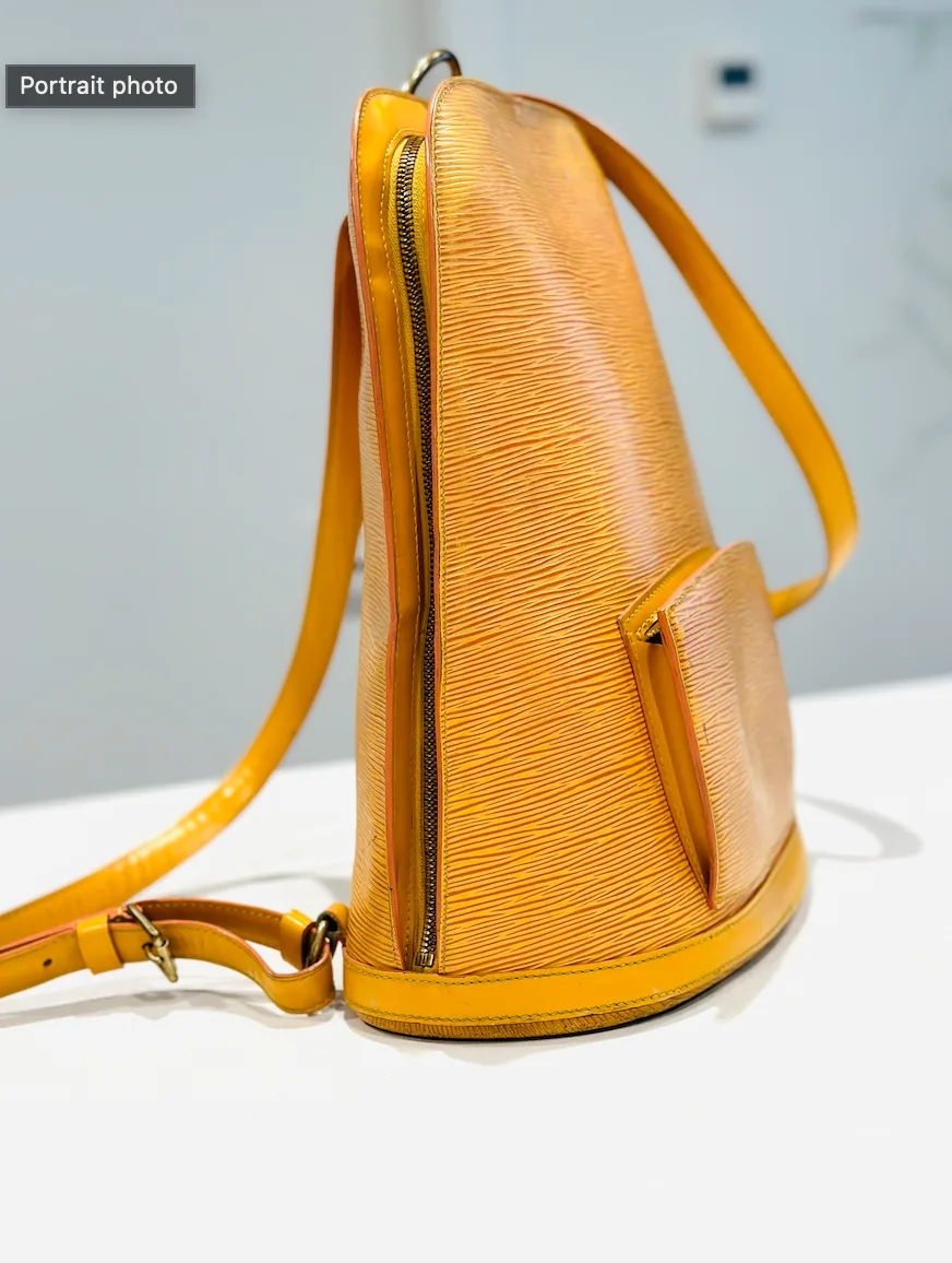 Yellow Epi Leather Gobelin Backpack — image 4