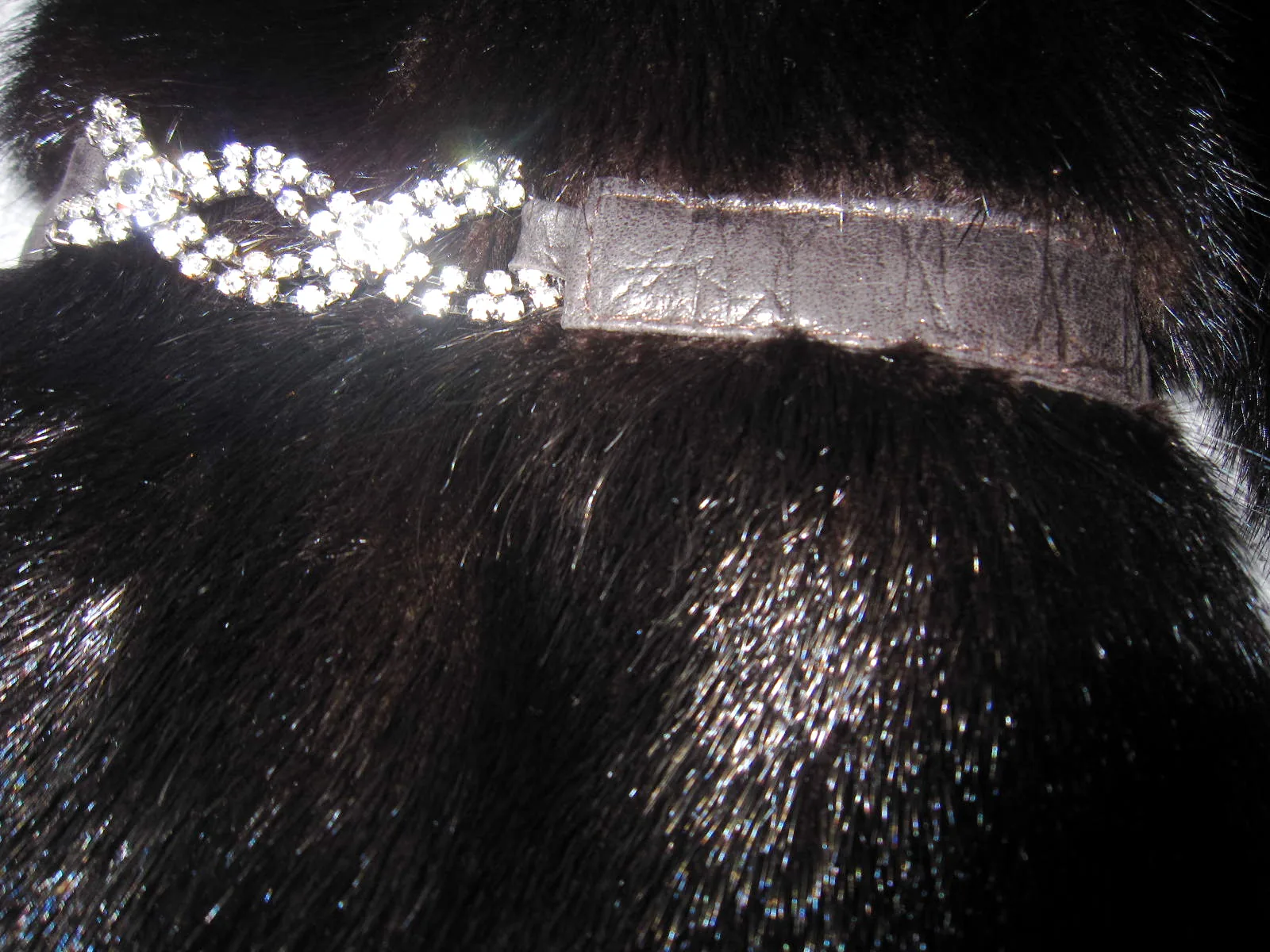 SAGA FURS Black Natural Silky Mink Coat — image 7